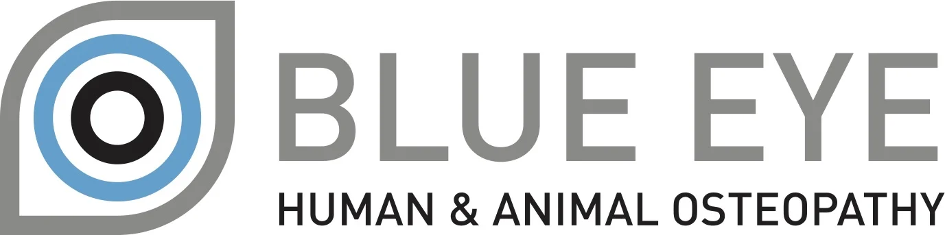 Blue Eye Osteopathy logo